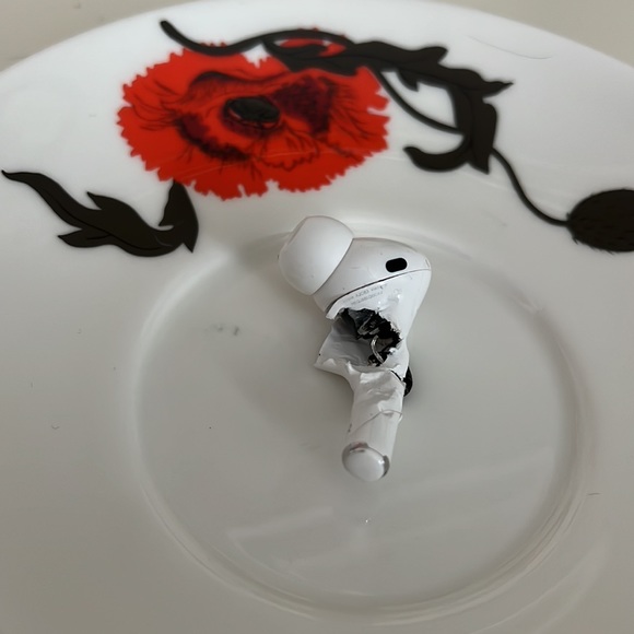 My dog ate my right airpod pro - Picture 2 of 3